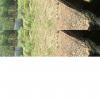 paintball022.jpg